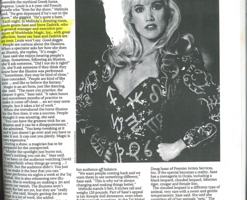 Blackjack Confidential Magazine Stephen Zadrick